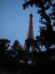SX18653 Lit up Eiffel tower through trees at dusk.jpg